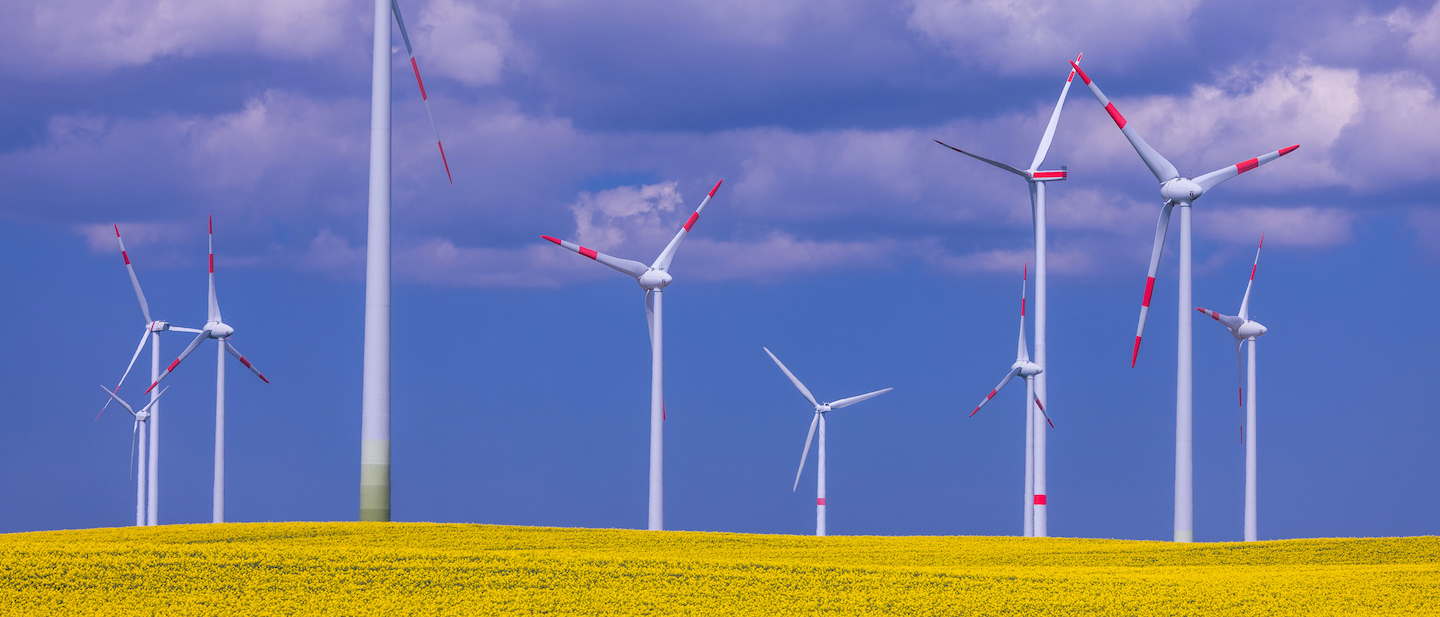 Foto: Windkraftanlagen drehen sich hinter einem blühenden Rapsfeld in einem Windpark. 